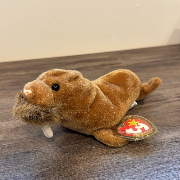 Beanie Baby Paul 1999 Walrus - Picture 2 of 2